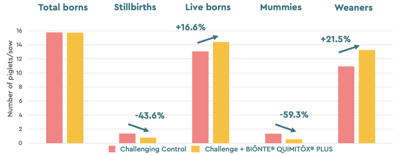 Figure 4. Characteristics of the litter.